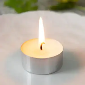 pintail-tealight-candles-2.webp