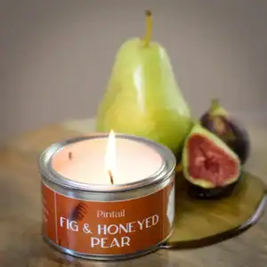 Pintail Fig & Honeyed Pear Paint Pot Candle